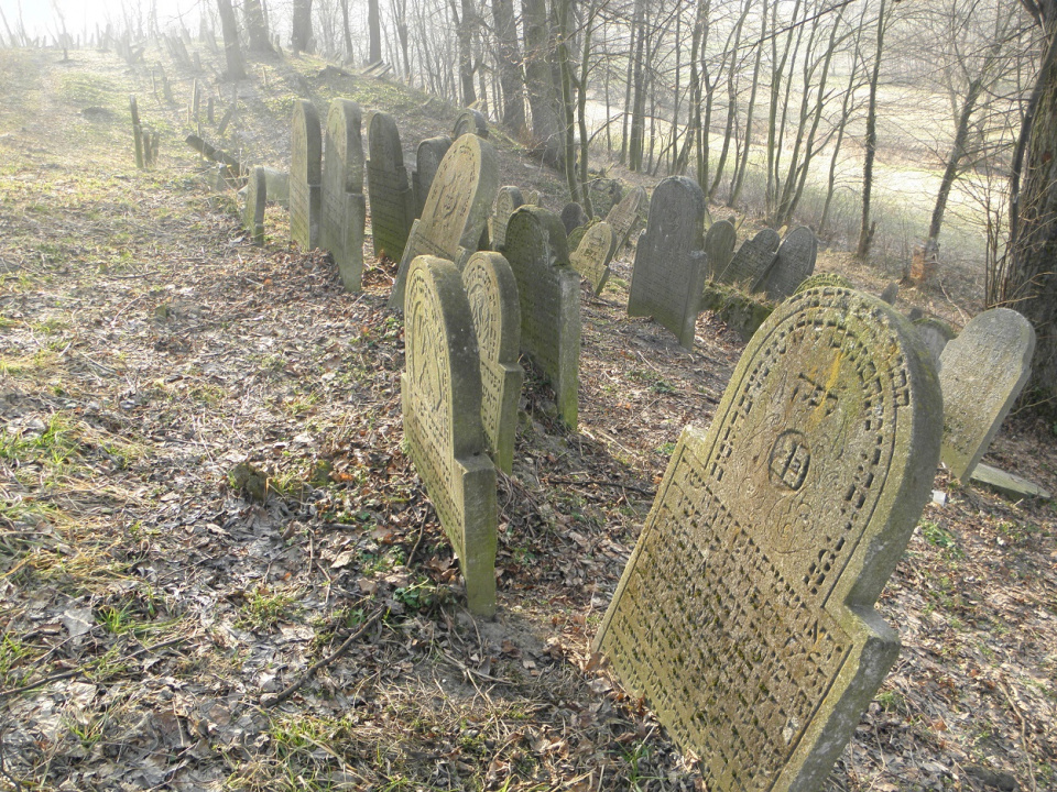 Cmentarz żydowski w Białej [fot. Jan Poniatyszyn]