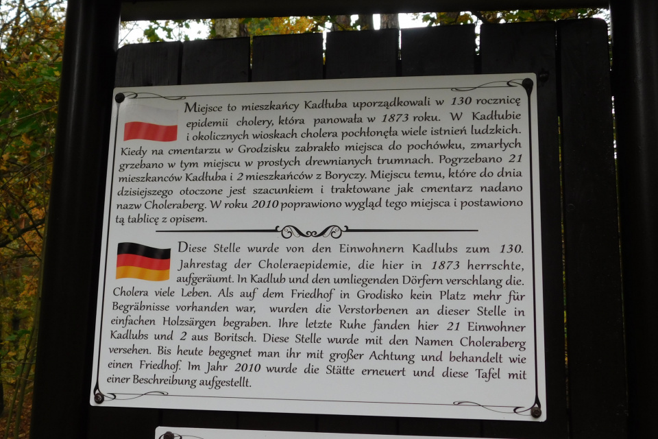 Cmentarz choleryczny Choleraberg w Kadłubie-Wsi [fot. Joanna Gerlich]