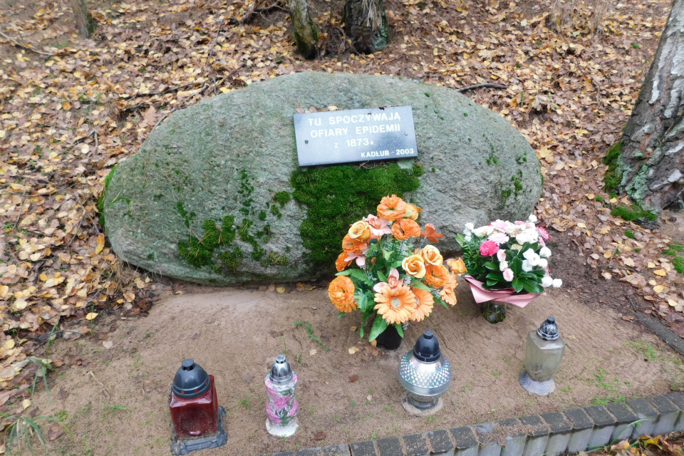 Cmentarz choleryczny Choleraberg w Kadłubie-Wsi [fot. Joanna Gerlich]