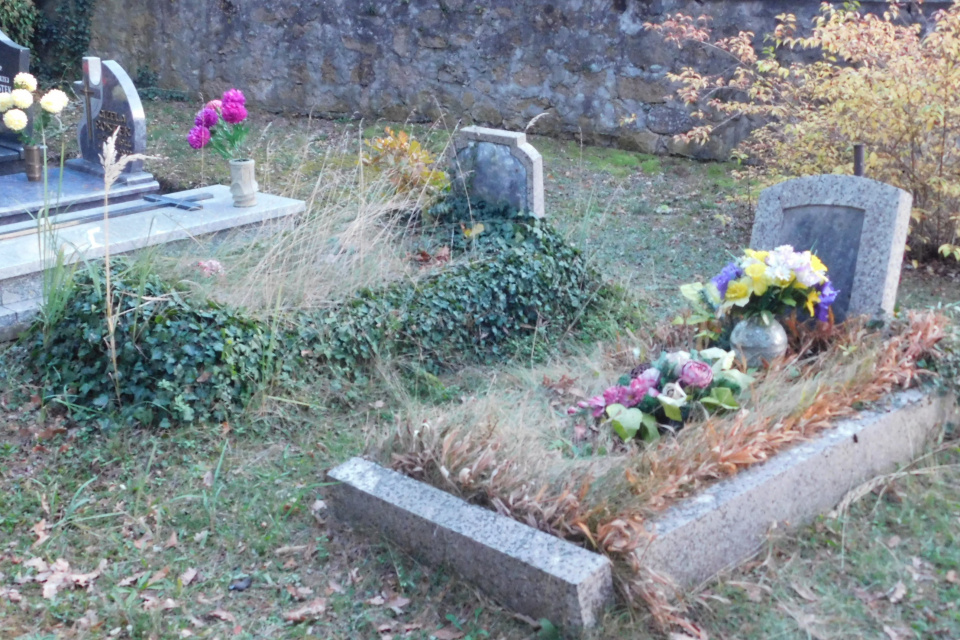 Cmentarz ewangelicki w Fosowskiem [fot. Joanna Gerlich]