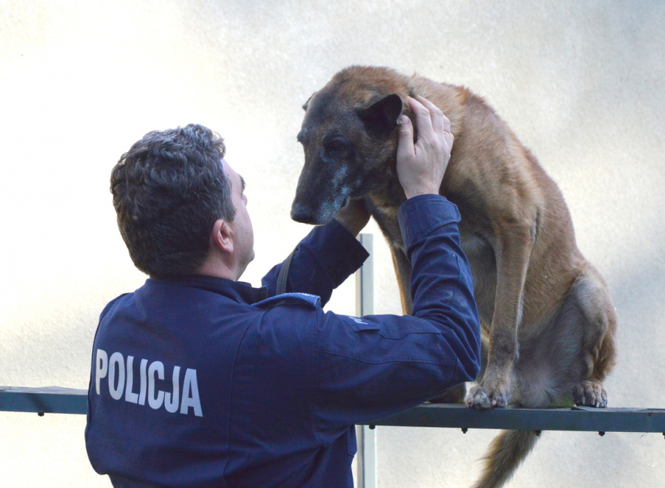 Policyjny pies fot. KPP w Kluczborku