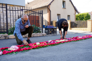 Kwietne dywany w Zalesiu Śląskim [fot. Adam Dubiński]