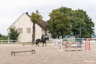 Stadnina Koni Prudnik [fot. Adam Dubiński]