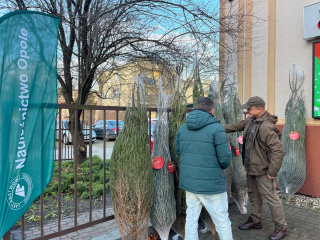 Akcja "Choinka dla życia" [fot. Monika Matuszkiewicz]