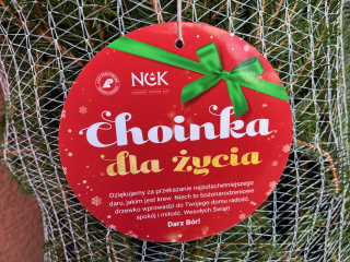 Akcja "Choinka dla życia" [fot. Monika Matuszkiewicz]