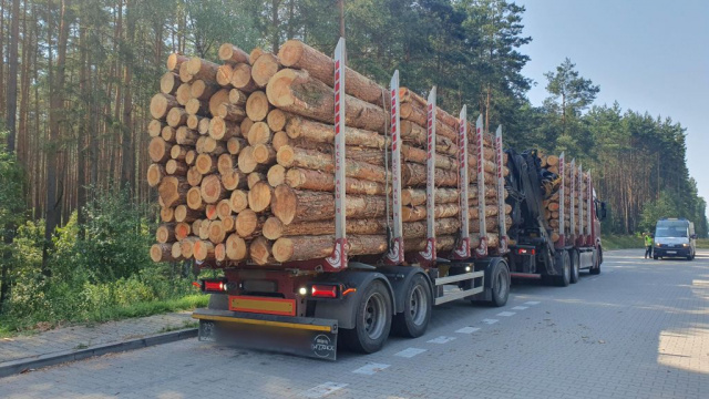 65 ton na opolskiej drodze. Ciężarówka przeładowana drewnem zatrzymana przez WITD