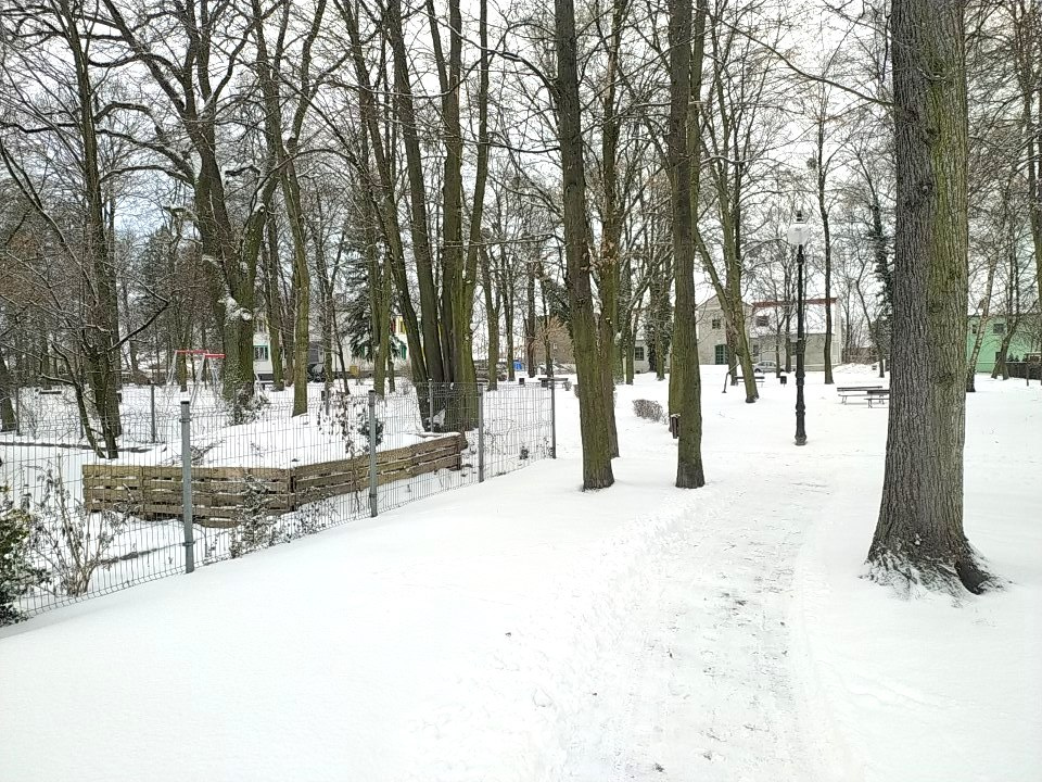Park miejski w Gorzowie Śląskim [fot. Witold Wośtak]