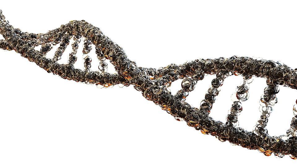 DNA, łańcuch DNA, [Graf. Cezary z Pixabay.com]