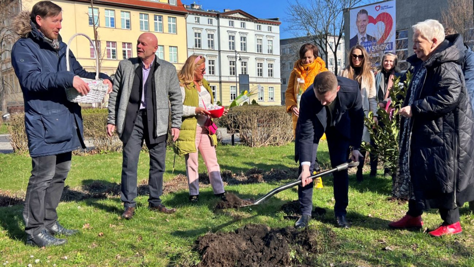 Kandydat na burmistrza Brzegu zasadził krzew symbolizujący zmiany