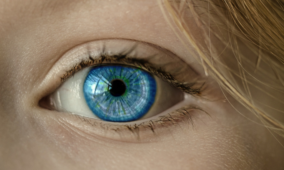 oko, zdjęcie poglądowe. [fot. Anja z Pixabay]