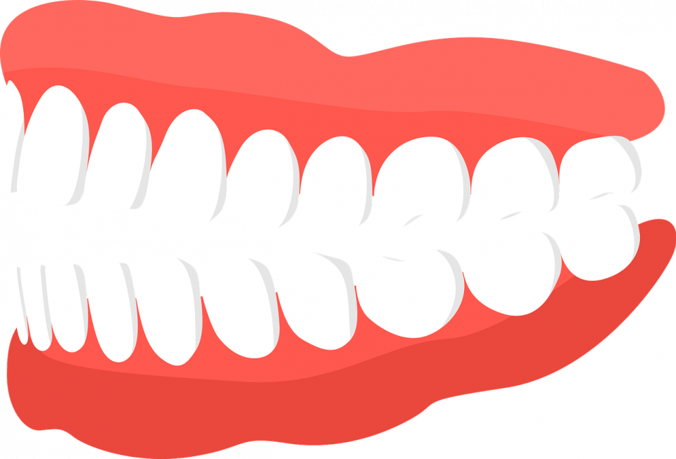 dziąsła, zęby [graf. pixabay.com]
