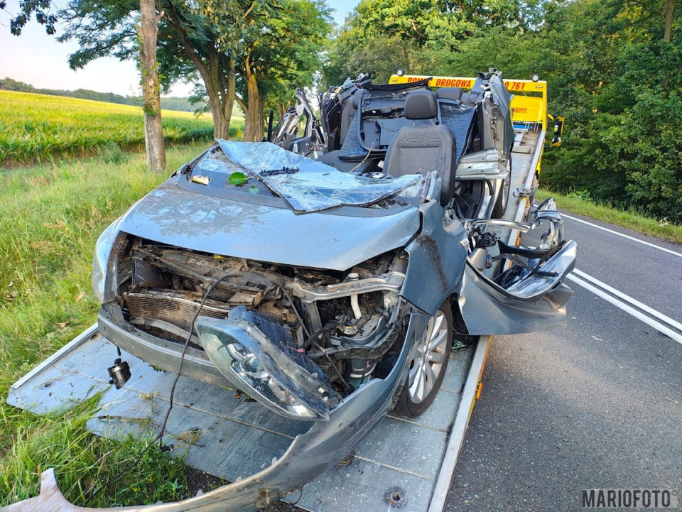 Wypadek na DK42 w Gręboszowe [fot. Mario]