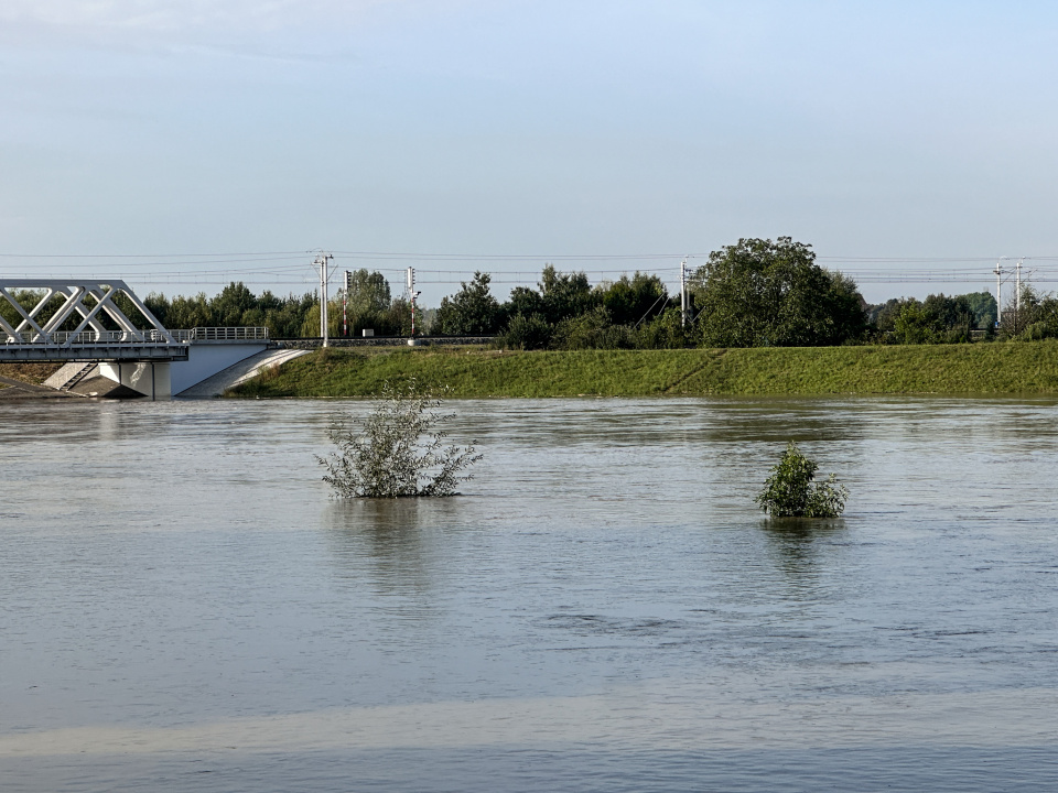 Stan Odry Opole (8:30, 17.09.2024) [Fot. Daria Pakuła]