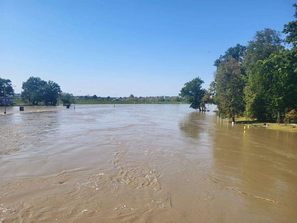 Odra w Opolu widok z mostu im. Ireny Sendlerowej [fot. Katarzyna Doros-Stachoń]