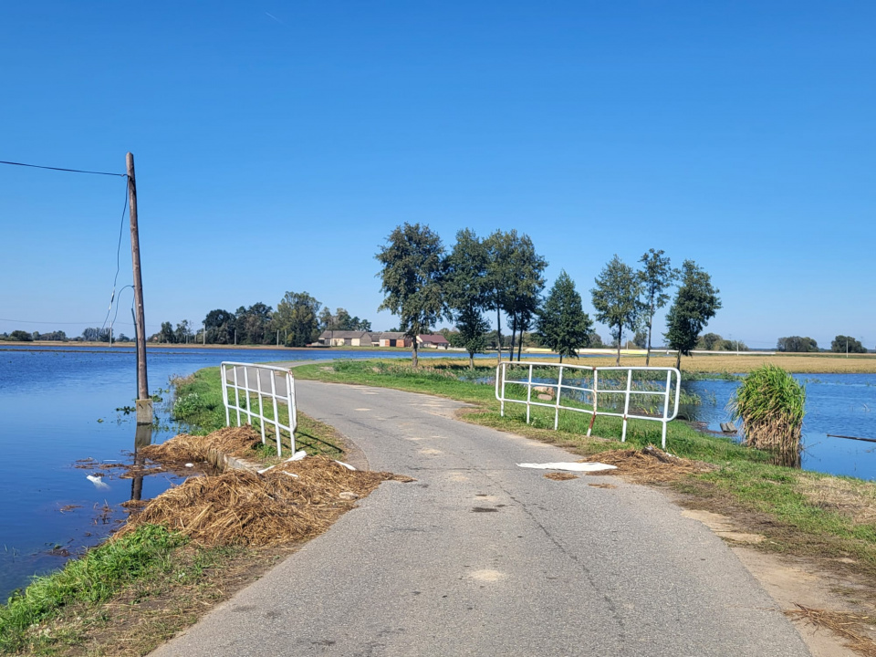 Zalane uprawy w Niewodnikach [fot. Katarzyna Doros-Stachoń]