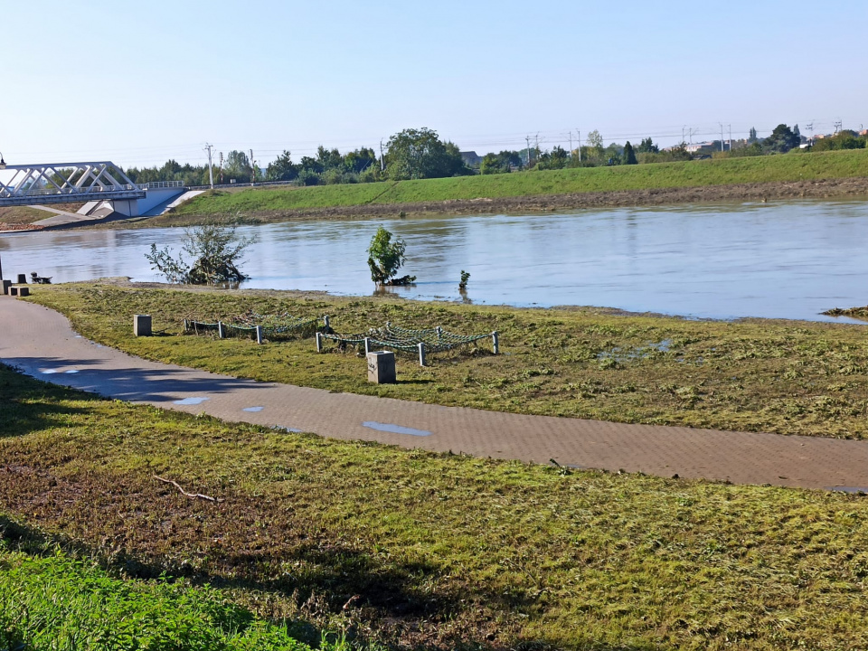 Odra w Opolu po przejściu wysokiej fali [fot. M. Śmierciak]