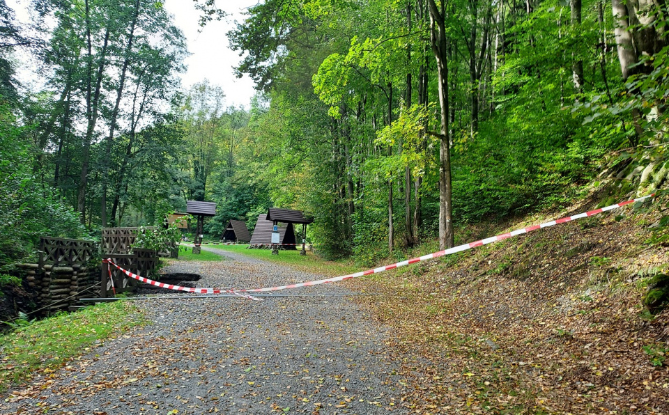 Dolina Bystrego Potoku w Pokrzywnej. Zakaz wstępu do lasu obejmuje też Góry Opawskie z masywem Biskupiej Kopy [fot. Jan Poniatyszyn]