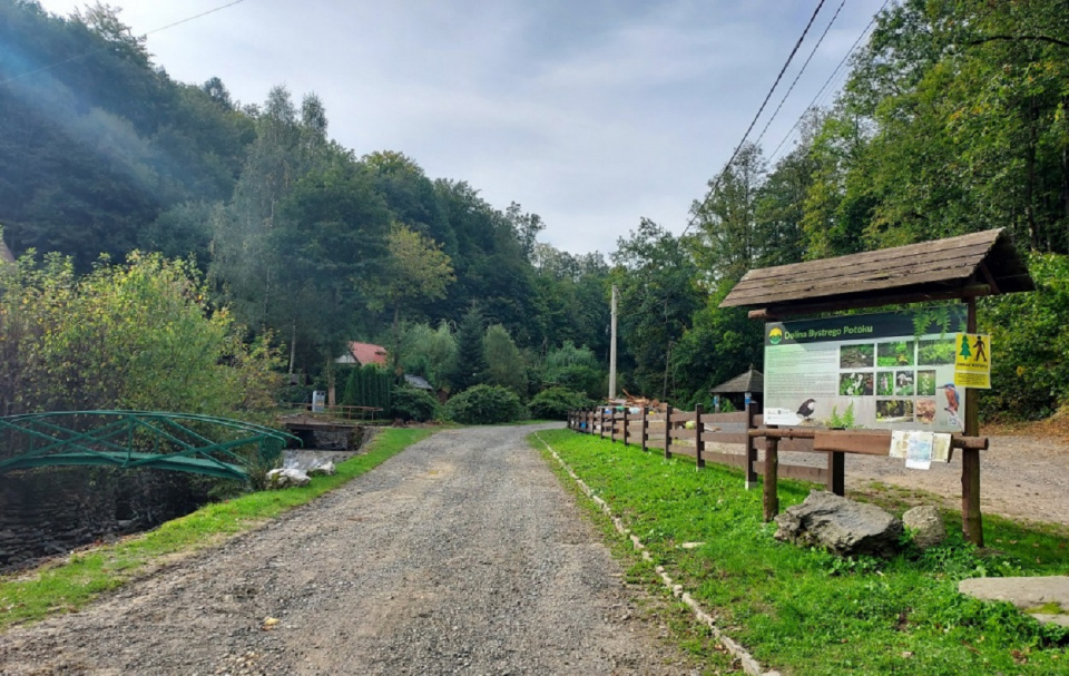 Droga do rezerwatu przyrody „Cicha Dolina” w leśnictwie Pokrzywna. Nadal obowiązuje tam zakaz wstępu do lasu [fot. Jan Poniatyszyn]