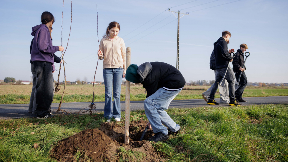 Sadzenie 100 drzew w gminie Dobrzeń Wielki w ramach projektu Eko Gmina [fot. Sławomir Mielnik]